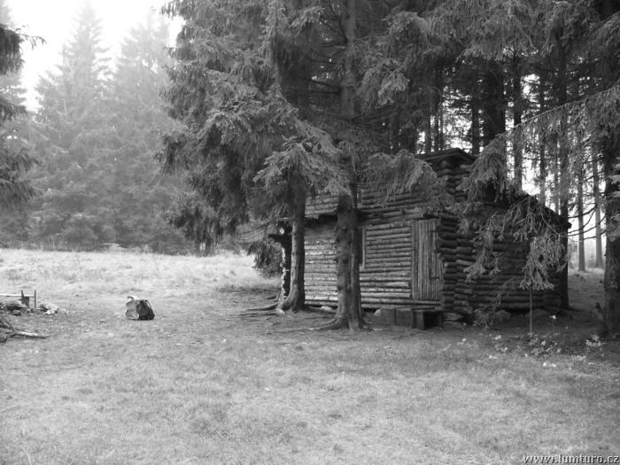 P1040332.jpg