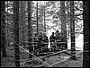 P1040205.jpg
