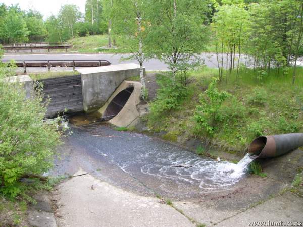 P1020020b.JPG