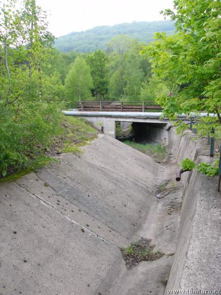 P1020020g.JPG