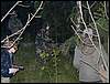 P1020025k.JPG